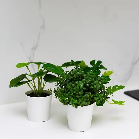 One Bedroom In Center By Renters Prestige *